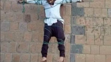 Photo of تنظيم القاعدة ينفذ جريمة بشعة بحق طبيب في محافظة البيضاء