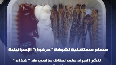 Photo of مساع مستقبلية لشركة “حرغول” الإسرائيلية لنشر “الجراد” على نطاق عالمي “كغذاء”