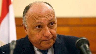 Photo of مصر ترد على تصريحات تركيا “السلبية” بشأن ثورة 30 يونيو