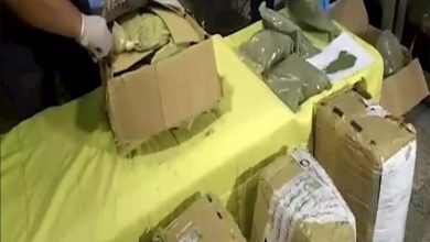 Photo of القبض على يمنيان حاولا تهريب” قات ” إلى مصر