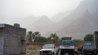 Photo of مريض نفسي يقتل 7 أشخاص من أقاربه قبل أن يتم قتله في مديرية “الجوبة” بمأرب