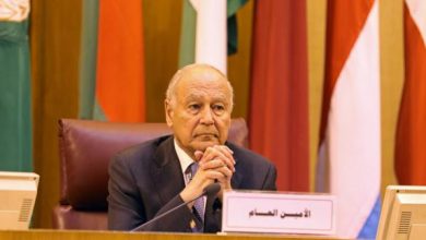 Photo of أبوالغيط: جماعة الحوثي مرتهنة بالكامل لإيران التي تتدخل لتستمر الأزمة اليمنية