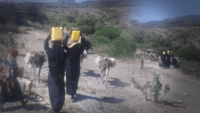 Photo of جلب المياه… حمل ثقيل على المرأة اليمنية