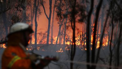 Photo of بسبب موجة من الحر الشديد..أكثر من 100 حريق يلتهم مئات آلاف الهكتارات في أستراليا