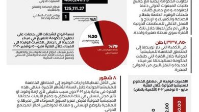 Photo of الإرياني:لاصحة لادعاءات الحوثيين بشأن منع تدفق المشتقات النفطية إلى مناطق سيطرتهم