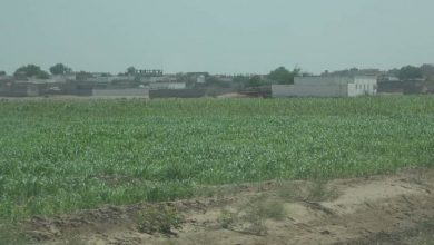 Photo of الحوثي يقصف مزارع الموطنين في التحيتا بقذائف الهاون