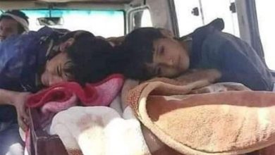 Photo of الحوثيون يهربون المتهم الأول بقتل ختام العشاري  في إب