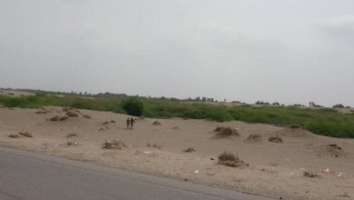 Photo of إتلاف رؤوس صاروخية وألغام حوثية بالحديدة