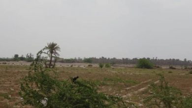 Photo of المليشيات الحوثية تقصف قرى مأهولة بالسكان في الجبلية