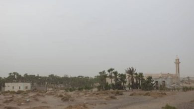 Photo of مليشيات تجدد استهدافها على الجبلية بمختلف أنواع الأسلحة