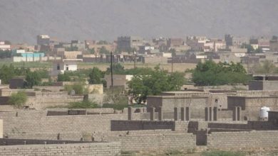 Photo of قتلى وجرحى حوثيون شرقي الجاح في الحديدة