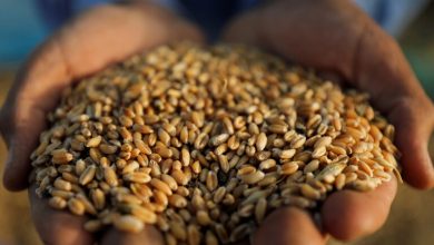 Photo of أسعار الغذاء تسجل مستويات قياسية في أكثر من 6 سنوات