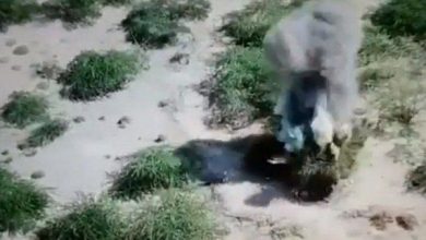 Photo of القوات المشتركة تدمر مرابض مدفعية للحوثيين جنوب الحديدة