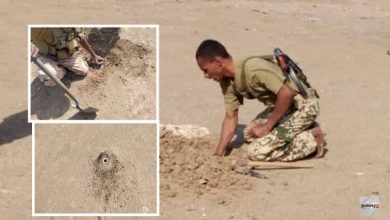 Photo of تفكيك ونزع شبكة ألغام حوثية داخل حي سكني في مدينة الحديدة