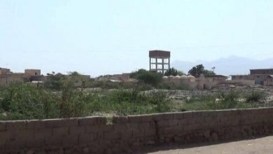 Photo of الحوثيون يجددون استهداف أحياء حيس السكنية