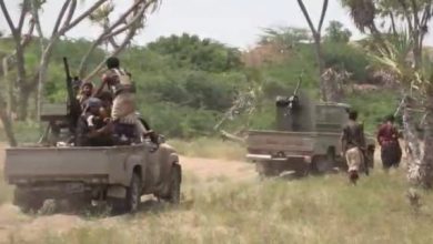 Photo of ضربات محكمة تخمد مصادر نيران حوثية جنوب الحديدة
