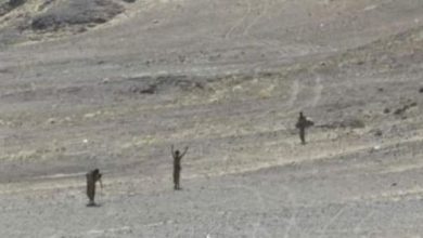 Photo of مجاميع حوثية من أبناء الجوف وصعدة يسلمون أنفسهم لرجال القبائل غربي مأرب