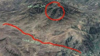 Photo of الجيش الوطني يسيطر على مواقع جديدة في جبهة العنين غرب تعز