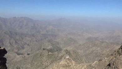Photo of تقدمات جديدة للجيش جنوب شرق تعز