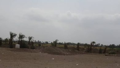 Photo of قصف مدفعي لمليشيات الحوثي على منازل المواطنين في الجبلية