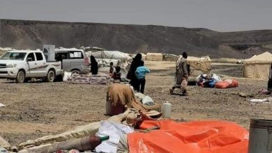 Photo of الأمم المتحدة: 70 حادثة عنف طالت المدنيين في مأرب خلال 3 أشهر