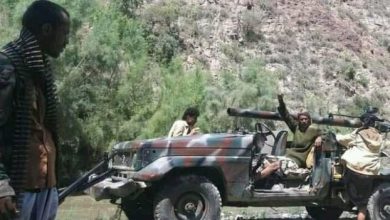 Photo of القوات الجنوبية تُخمد تحركات حوثية بجبهة حيفان