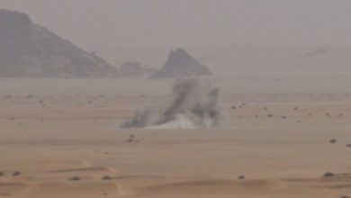 Photo of مدفعية الجيش تستهدف مليشيا الحوثي في أطراف مأرب