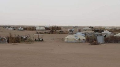 Photo of الوحدة التنفيذية لإدارة النازحين تدعو المنظمات إلى إغاثة النازحين في رغوان بمأرب