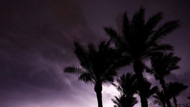 Photo of الضالع..صاعقة رعدية تتسبب بمقتل 3 أشخاص وإصابة آخرين