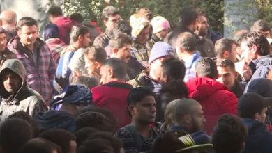 Photo of ألمانيا وهولندا تعلقان ترحيل طالبي اللجوء الأفغان إلى وطنهم