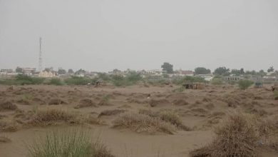Photo of الحوثيون يستهدفون مزارع المواطنين في التحيتا بالقذائف المدفعية