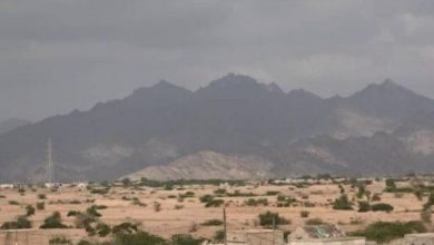 Photo of استشهاد مواطن بانفجار لغم من مخلفات ما زرعه الحوثيون في حيس
