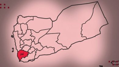 Photo of تعز..مواطنون يشتكون من توزيع مساعدات غذائية تالفة