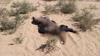 Photo of وساطة محلية تنجح في انتشال 24 جثة للقوات الحكومية والحوثيين في مأرب