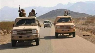 Photo of القوات المشتركة تواصل التوغُّل في خط العُدين وتقرير حقوقي يكشف عن إعدامات ارتكبتها مليشيا الحوثي في الحديدة