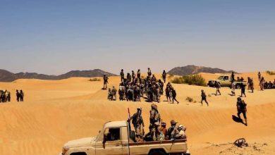 Photo of القوات الحكومية تستعيد عديد مواقع في الجبهة الجنوبية وتصد أعنف الهجمات الحوثية في الجبهة الغربية بمأرب