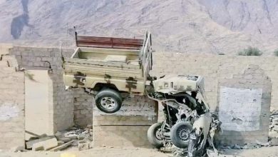 Photo of شبوة..قوات العمالقة تحرز تقدمات جديدة غرب بيحان