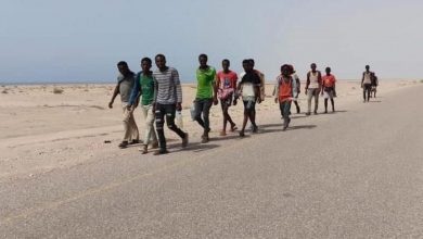 Photo of الهجرة الدولية : 24 ألف مهاجر أفريقي بينهم نساء وأطفال وصلوا اليمن خلال عام 2021