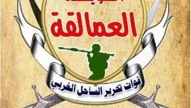 Photo of ألوية العمالقة تعلن تحرير مديرية عين وكامل مديريات غرب شبوة من سيطرة الحوثيين