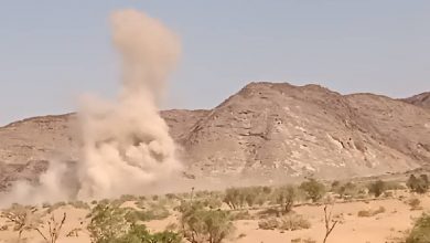 Photo of مأرب..القوات الحكومية والعمالقة تستعيد مواقع استراتيجية وحاكمة في الجنوب  وتقترب من الالتحام في جبهة ملعاء