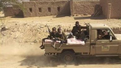 Photo of قوات العمالقة تسيطر على مدينة النقوب وتتقدم باتجاه مفرق حريب – بيحان  بشبوة