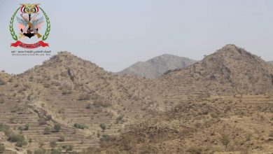 Photo of مصرع 13 حوثيا في مواجهات مع القوات الحكومية غربي تعز