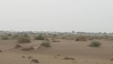 Photo of مقتل 3 مدنيين بانفجار لغم حوثي جنوبي الحديدة