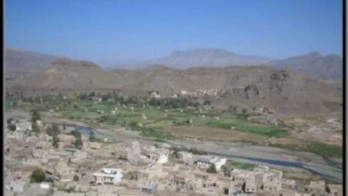 Photo of الضالع..حملة نهب حوثية لممتلكات المعارضين في 3 مديريات