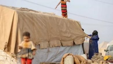 Photo of إدارة مخيمات النازحين:قذائف الحوثي دفعت 7 آلاف شخص بعيداً عن منازلهم خلال فبراير