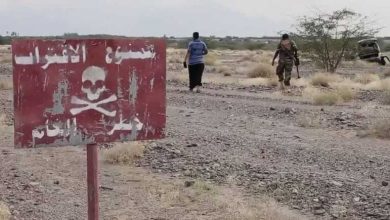 Photo of العثور على  حقل ألغام حوثي جديد في وادي نخلة جنوب الحديدة