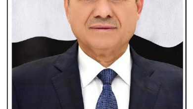 Photo of العليمي يتعهد بمعالجة أزمة الكهرباء ويدعو أهالي عدن للصبر