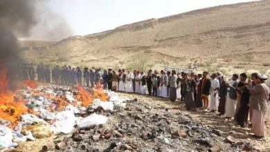 Photo of إعلان مليشيا الحوثي إتلاف 40 طناً من المخدرات يثير موجة سخرية واسعة