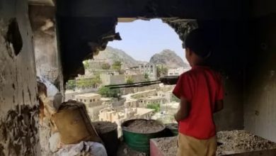 Photo of ليندركينغ: واشنطن ملتزمة بمساعدة اليمن على الخروج من الأزمة