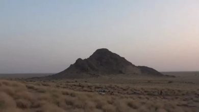 Photo of الحوثي يضرب الهدنة الجديدة بـ49 خرقاً في الساحل الغربي